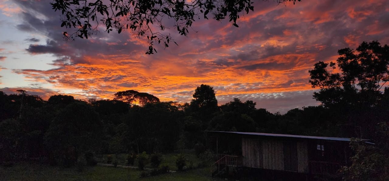 Publicacion de amanecer llanero